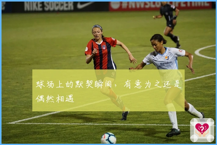 球场上的默契瞬间，有意为之还是偶然相遇