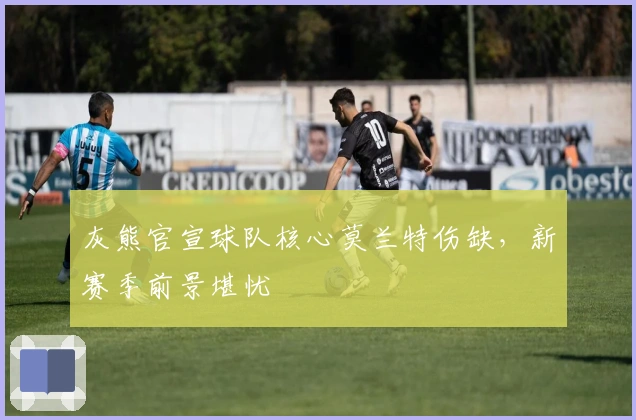 灰熊官宣球队核心莫兰特伤缺,新赛季前景堪忧