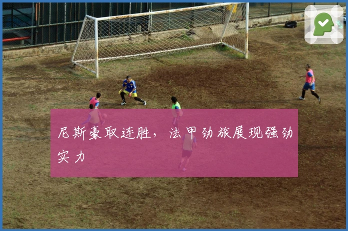 尼斯豪取连胜，法甲劲旅展现强劲实力