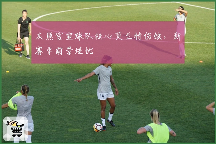 灰熊官宣球队核心莫兰特伤缺，新赛季前景堪忧